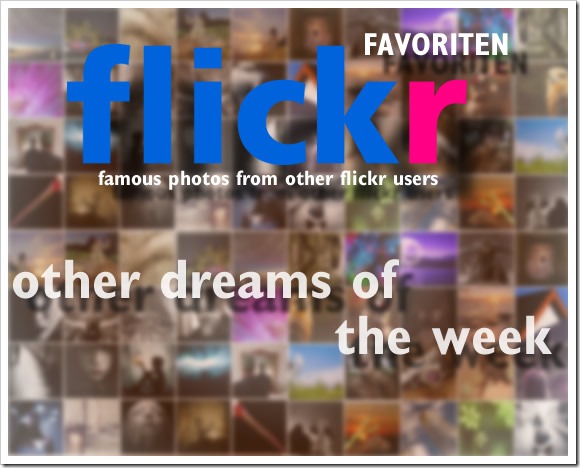 flickr-other dreams of the week
