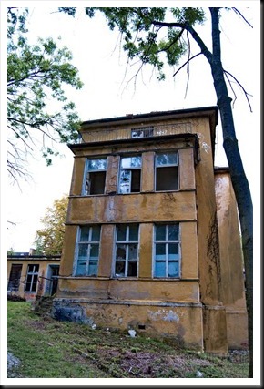 milheil004 milheil004
